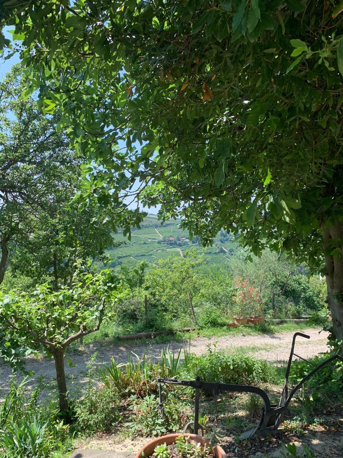 Agriturismo Cascina Anri Манго Экстерьер фото