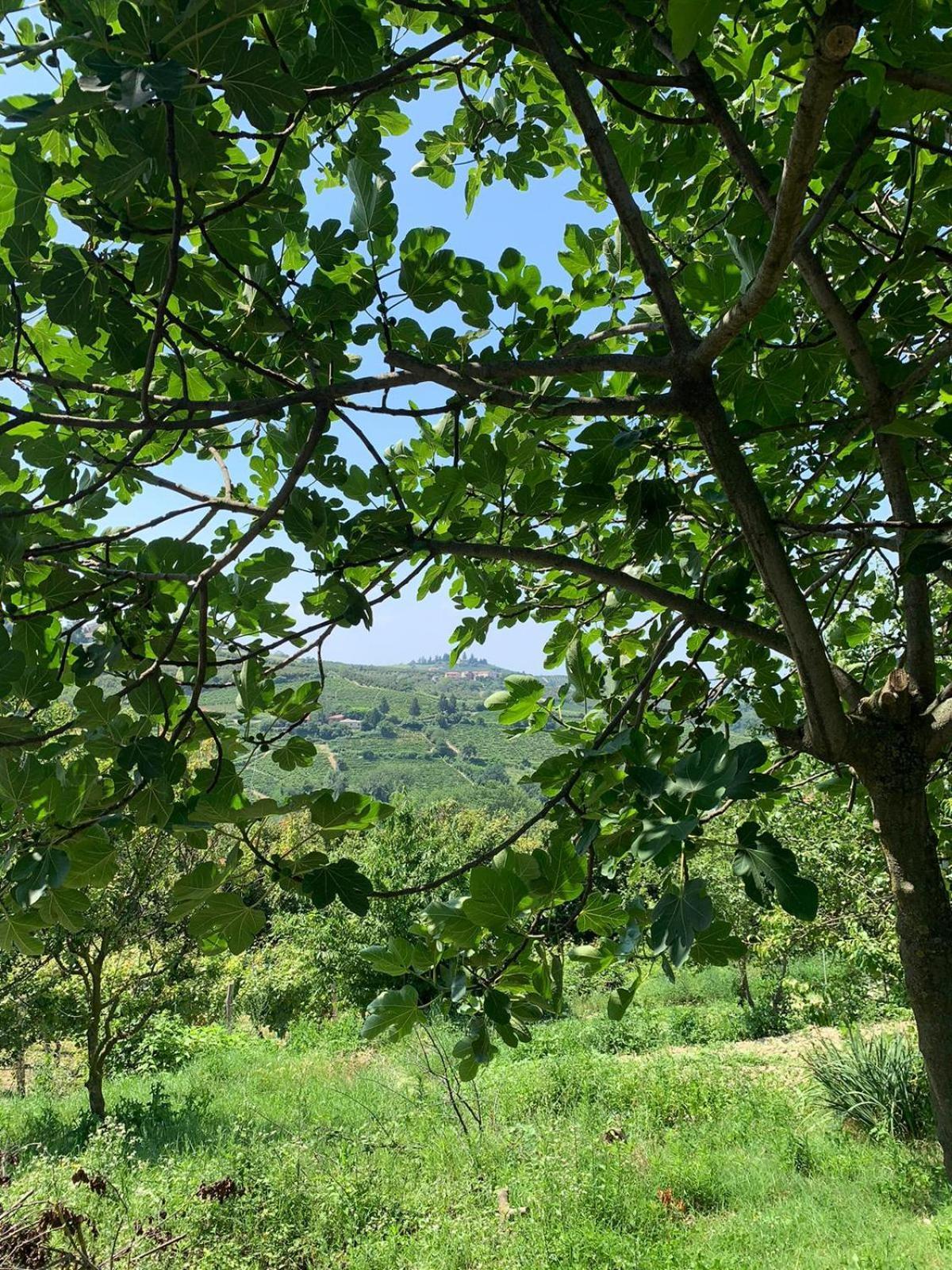 Agriturismo Cascina Anri Манго Экстерьер фото
